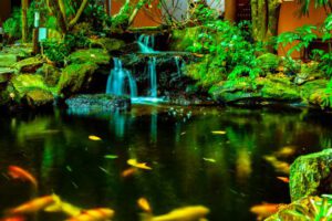 การ์เด้นวิวรีสอร์ท